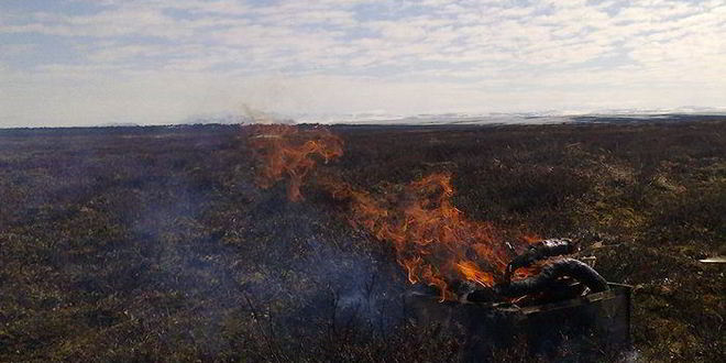 Рецепт маринада лукового