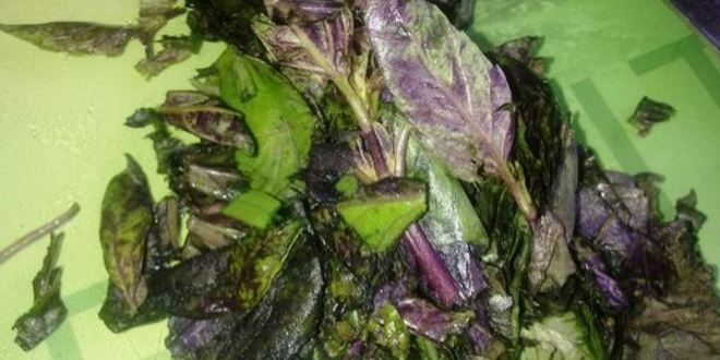 Рецепт соуса из базилика и рукколы