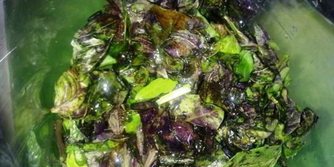 Рецепт соуса из базилика и рукколы