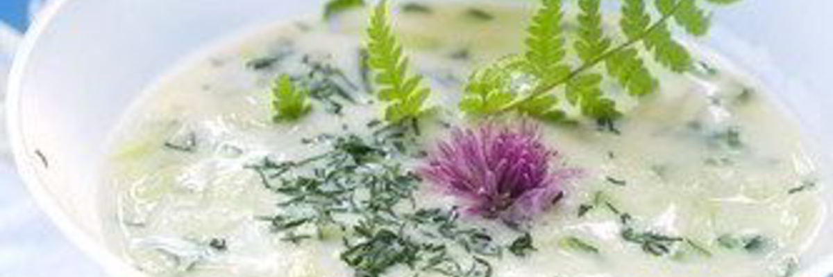 Рецепт Соуса из огурцов с зеленью и чесноком дзадзики