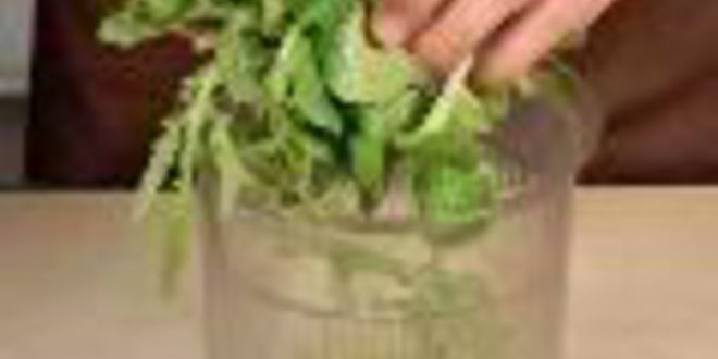 Рецепт песто из корн-салата и руколы