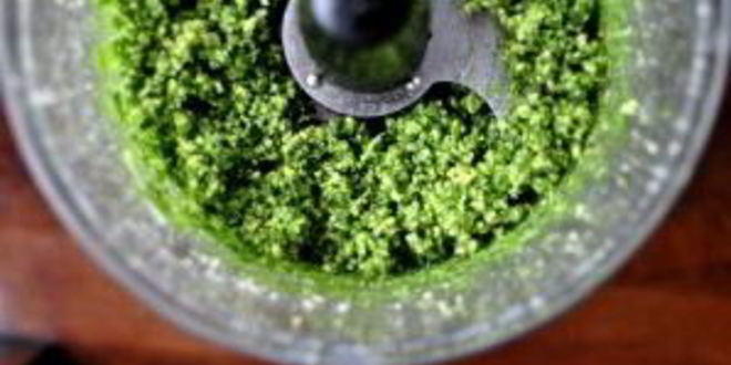 Рецепт песто с кинзой