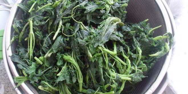 Рецепт песто с крапивой