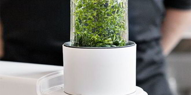 Рецепт тренетте с соусом песто