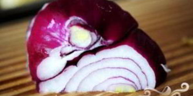 Рецепт сальсы из свежей кукурузы и авокадо