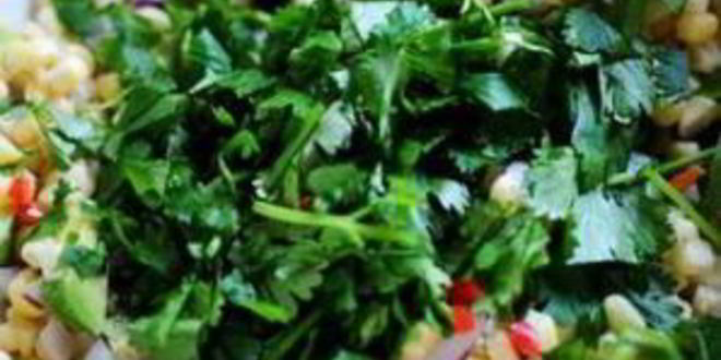 Рецепт сальсы из свежей кукурузы и авокадо