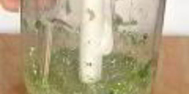 Рецепт соусов сальса круда, сальса роха, сальса верде