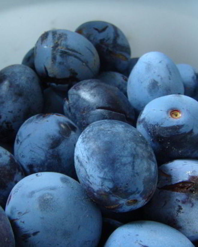 Рецепт грузинского соуса ткемали