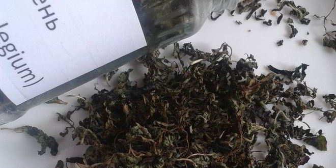 Рецепт сливового соуса ткемали