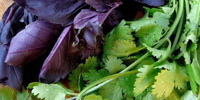 Рецепт соуса из слив ткемали к мясу