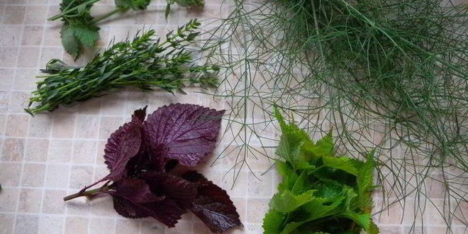 Рецепт соуса сливового ткемали