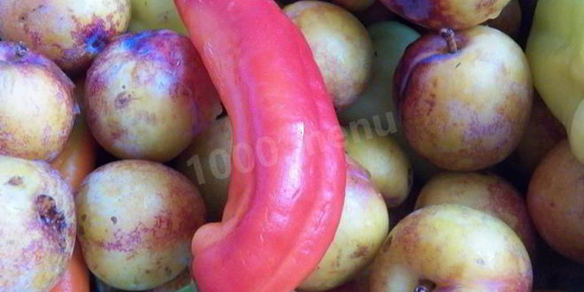 Рецепт соуса ткемали из слив