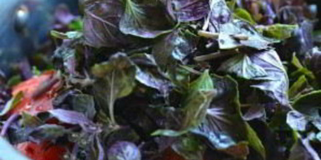 Рецепт соуса ткемали классический