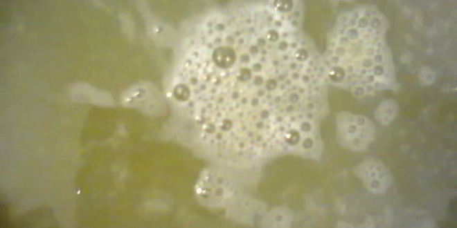 Рецепт соуса зеленого ткемали