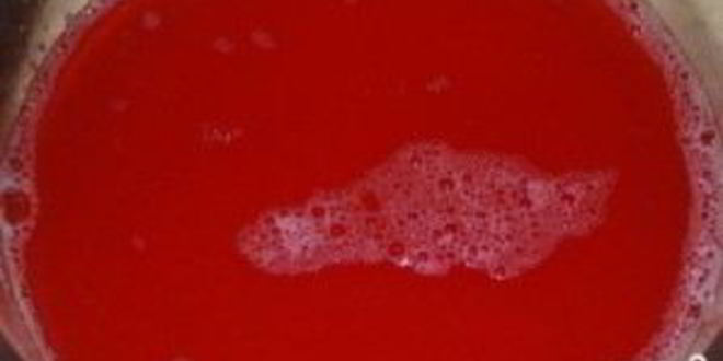 Рецепт ткемали из слив на зиму