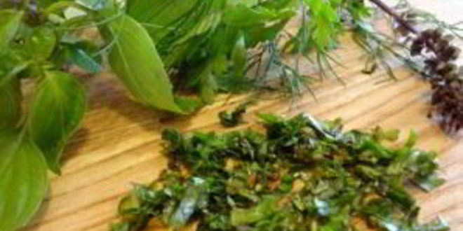 Рецепт ткемали из слив