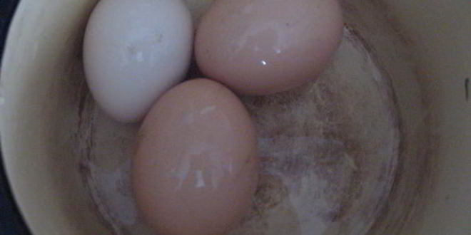 Рецепт борща холодного с креветками