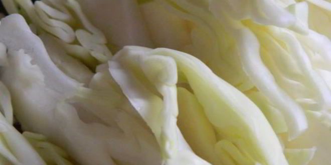 Рецепт борща полтавского с галушками