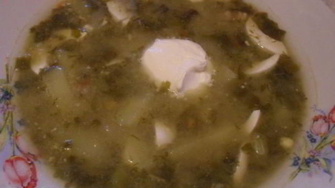 Рецепт борща со щавелем и яйцом