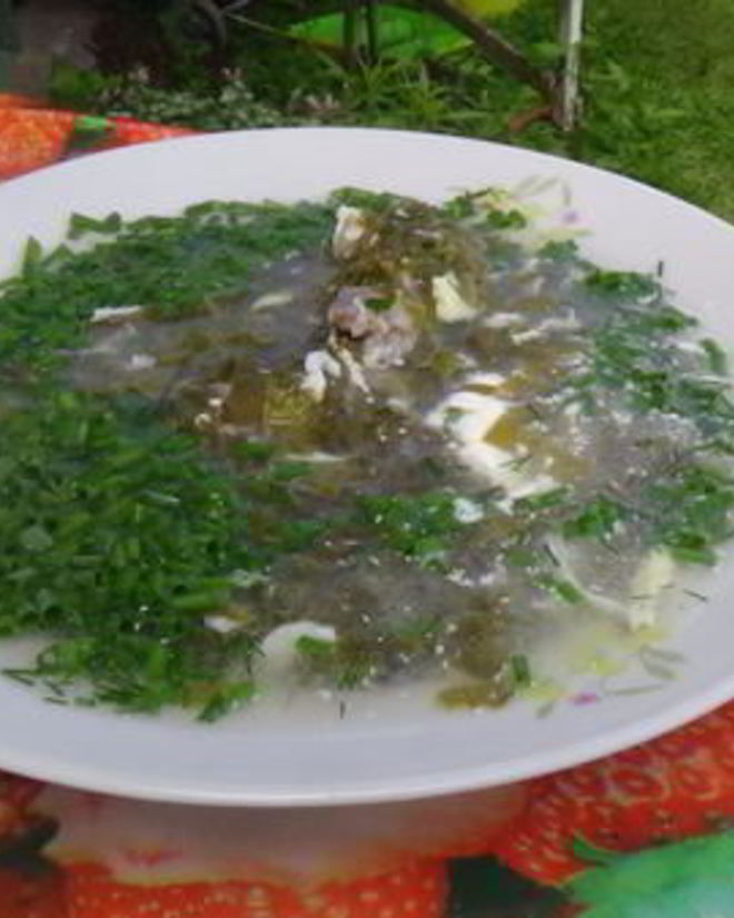 Рецепт борща со щавелем и яйцом