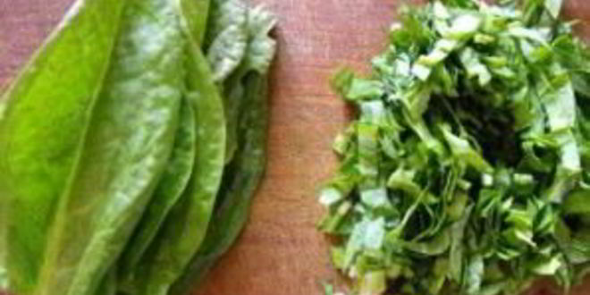 Рецепт борща зеленого украинского