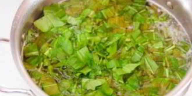 Рецепт борща зеленого украинского