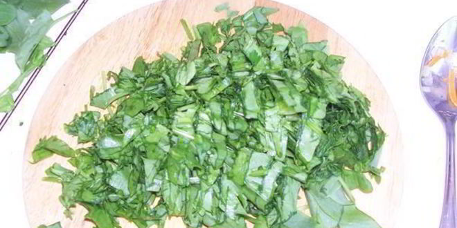 Рецепт борща зеленого