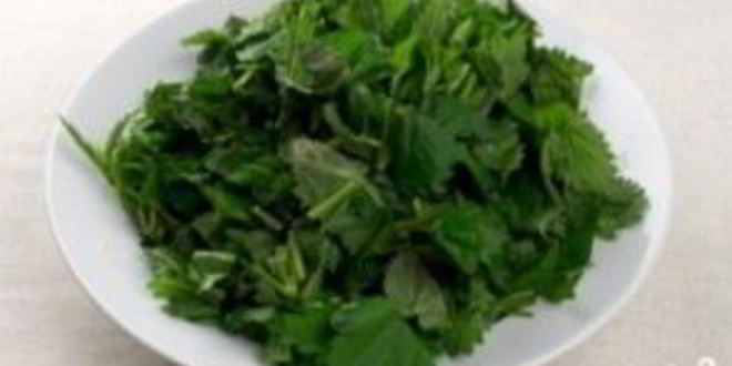 Рецепт зеленого борща с крапивой