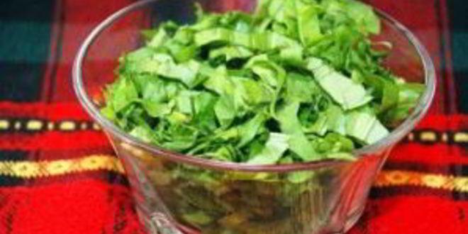 Рецепт зеленого борща со щавелем и яйцом