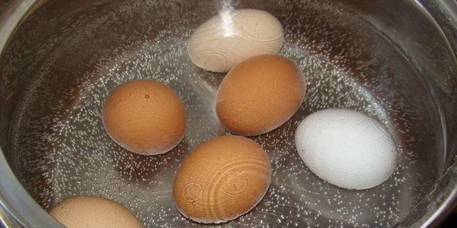 Рецепт зеленого борща со щавелем