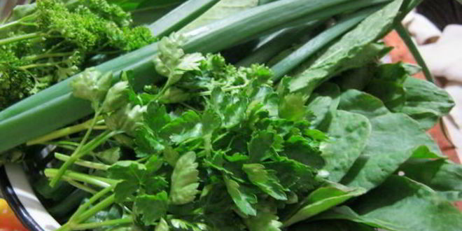 Рецепт зеленого борща