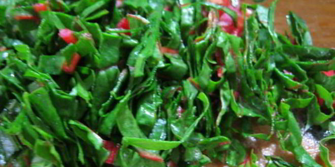 Рецепт зеленого борща