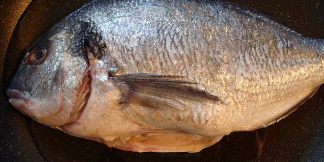 Рецепт дорады в сумасшедшем бульоне