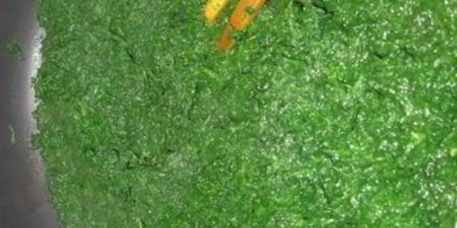 Рецепт сытного рулета к бульону