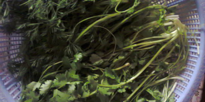 Рецепт довги — супа из зелени на кефире