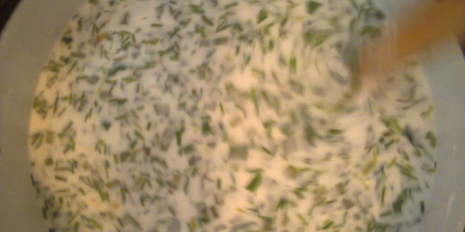 Рецепт довги — супа из зелени на кефире