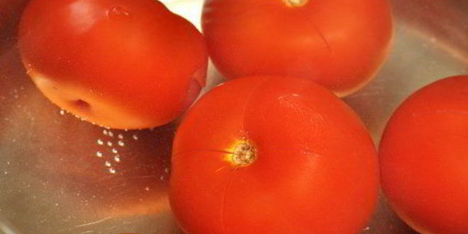 Рецепт холодного томатного супа гаспачо