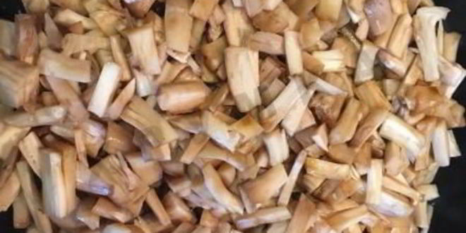 Рецепт грибного крема-супа из шампиньонов