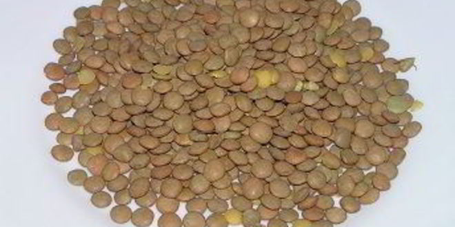 Рецепт хариры — марокканского густого супа