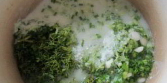 Рецепт болгарского холодного супа таратор