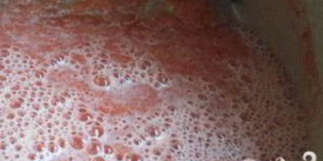 Рецепт испанского холодного супа