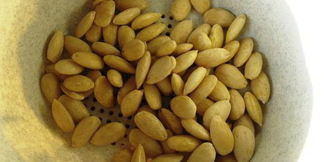 Рецепт холодного миндального супа с чесноком и виноградом