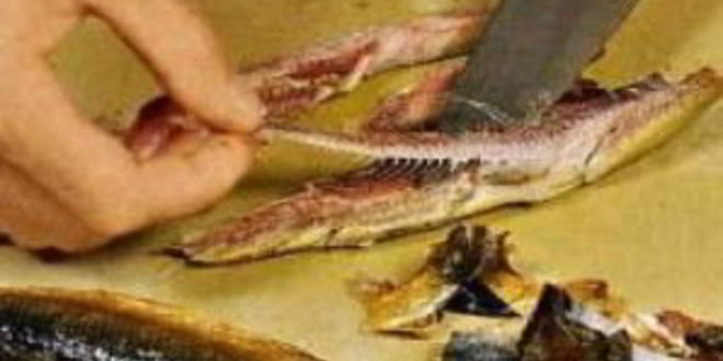 Рецепт холодного супа из огурцов с копченой салакой