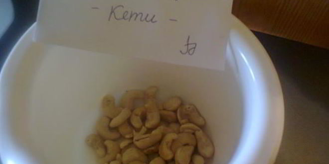 Рецепт холодного супа-пюре из бруссельской капусты