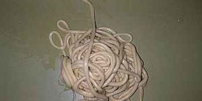 Рецепт лагмана со спагетти