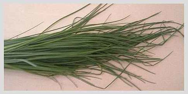 Рецепт лагмана со спагетти