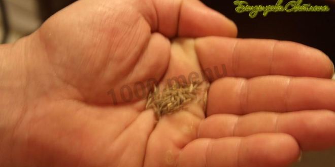 Рецепт подливы для лагмана