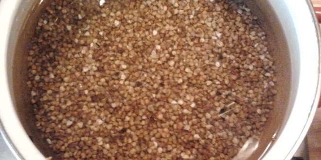 Рецепт молочного супа с гречкой