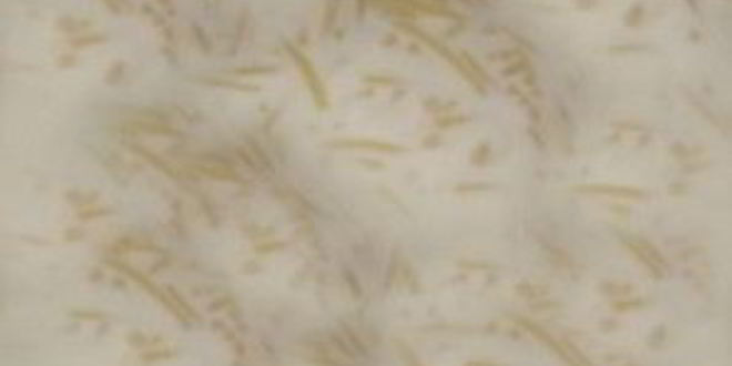 Рецепт молочного супа с вермишелью для детей