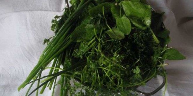 Рецепт молочных супов